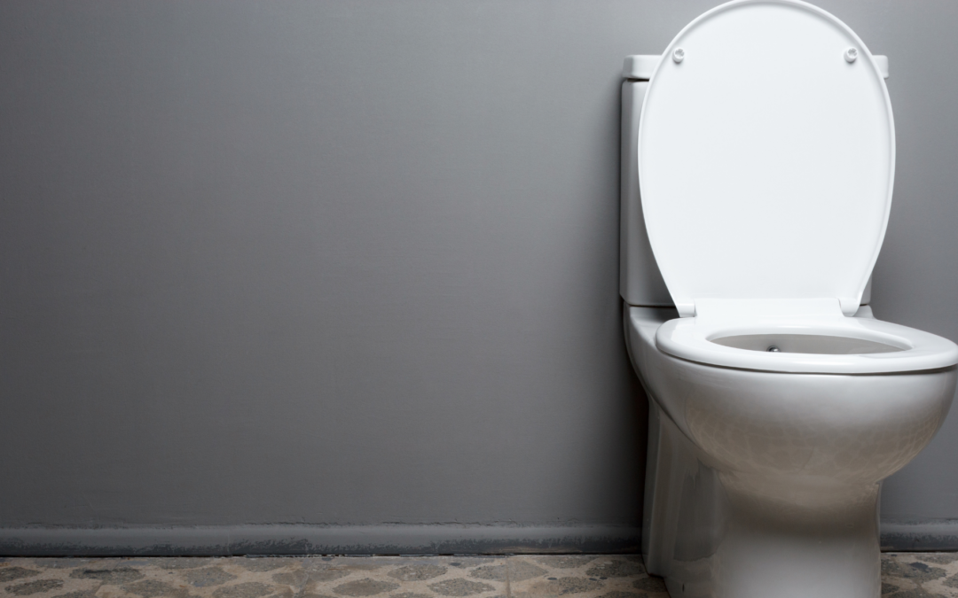 How to Diagnose Toilet Issues