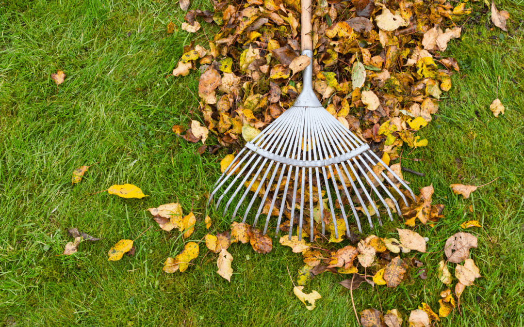 Fall Plumbing Maintenance Tips