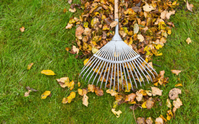 Fall Plumbing Maintenance Tips