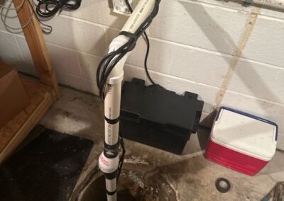 Battery Back Up Pump